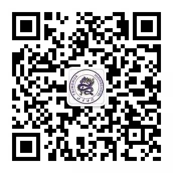 儿童篮球基本功训练内容怎么写的_0
