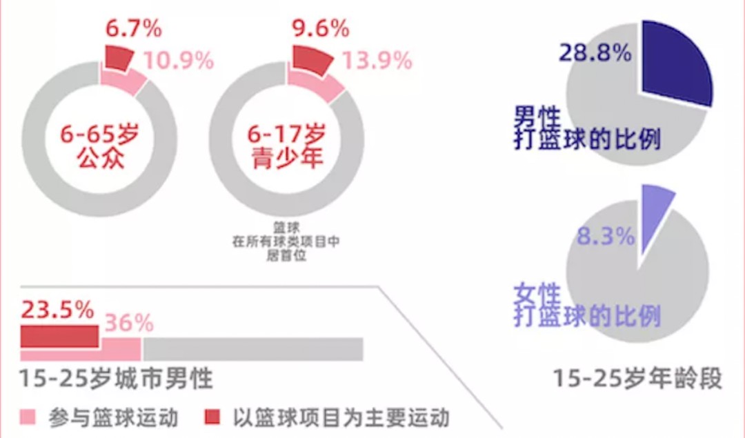 哪里有适合青少年的篮球训练数据分析平台